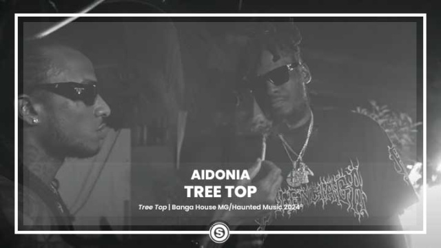 Aidonia - Tree Top