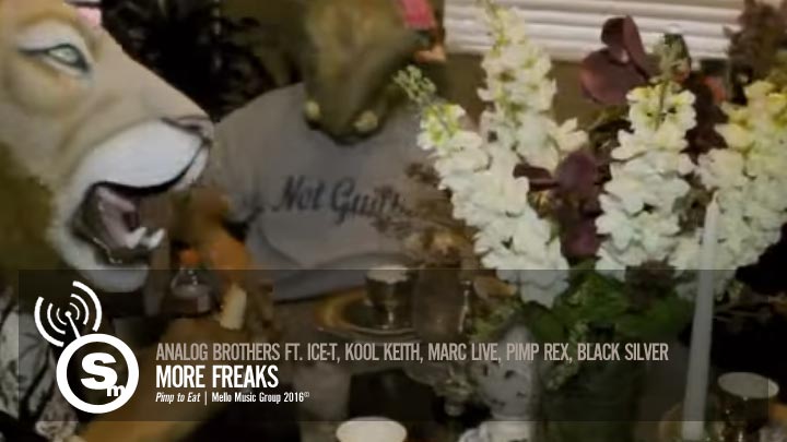Analog Brothers - More Freaks